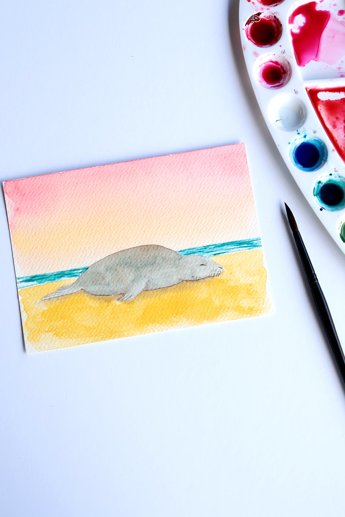 Project Choice: Monk Seal