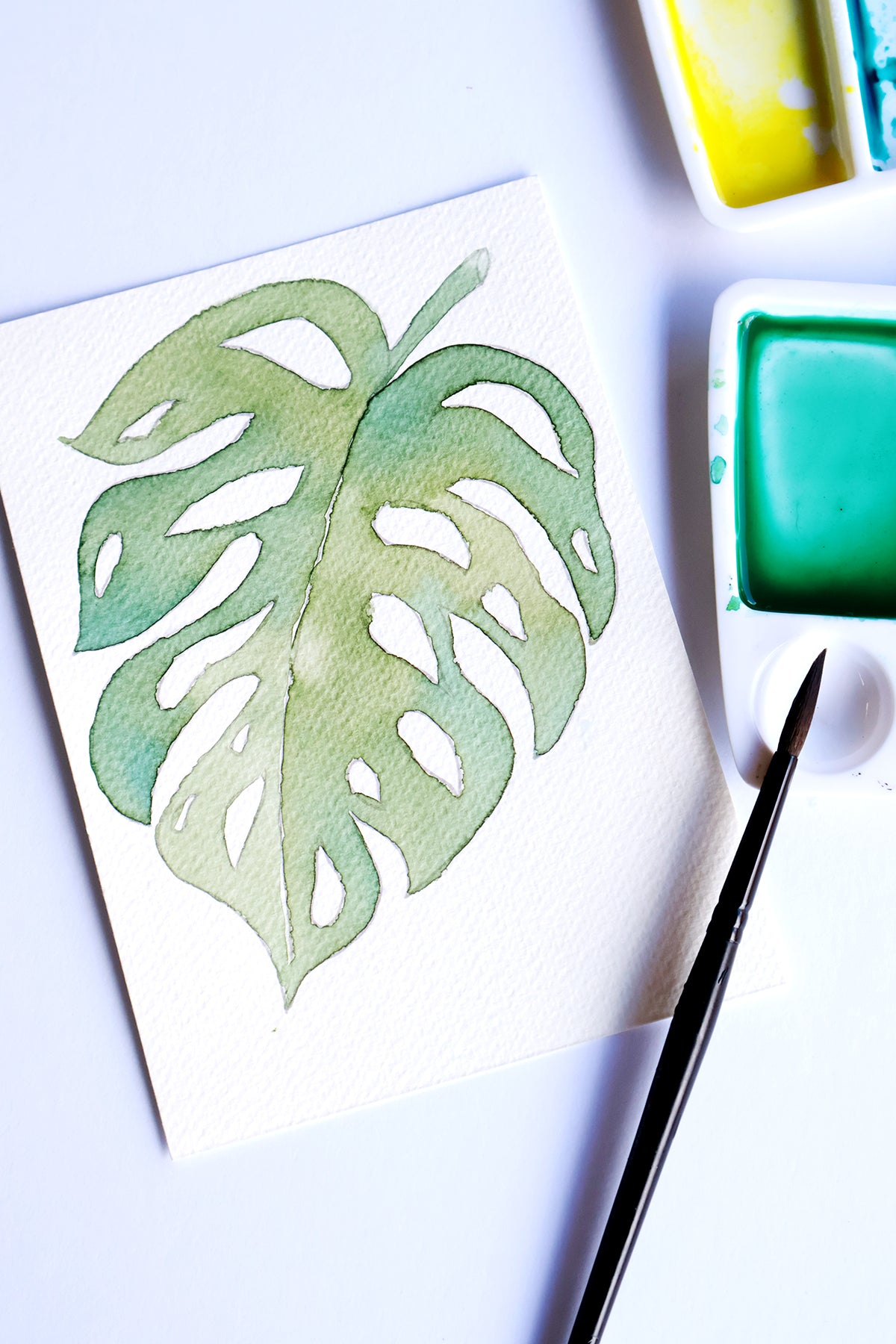 Project Choice: Monstera