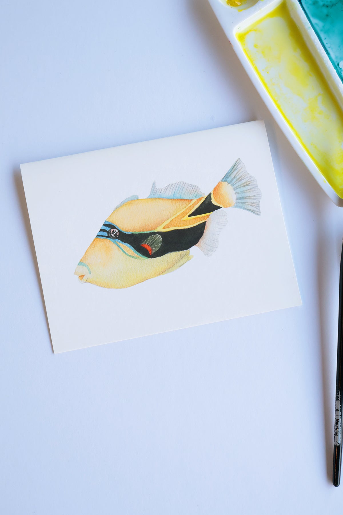Project Choice: Humuhumunukunukuāpuaʻa (Hawaiian Reef Triggerfish)