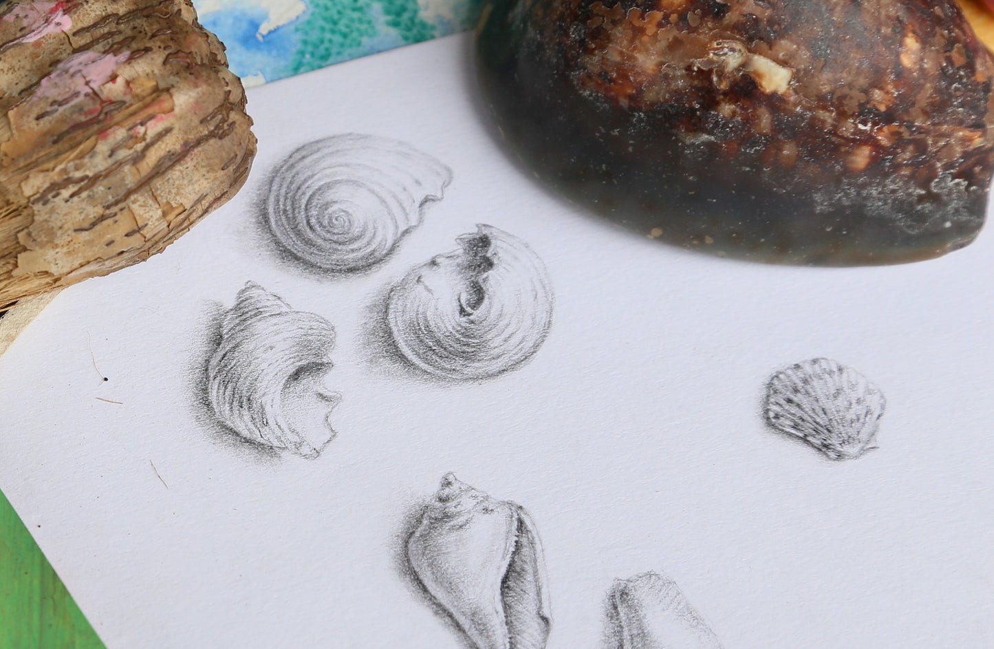Drawing Private Lessons