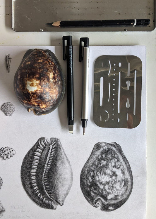 Drawing Private Lessons