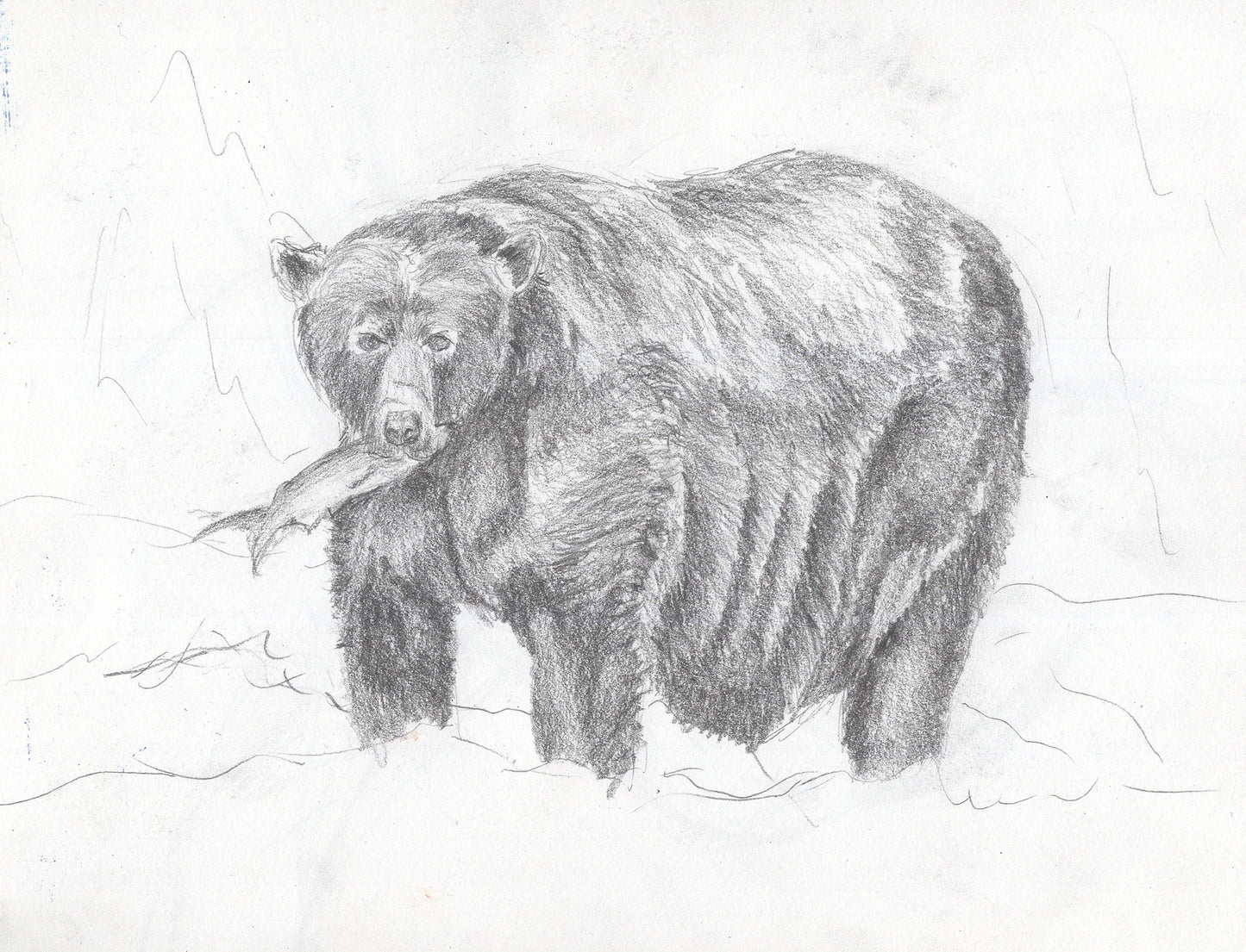 Drawing Private Lessons