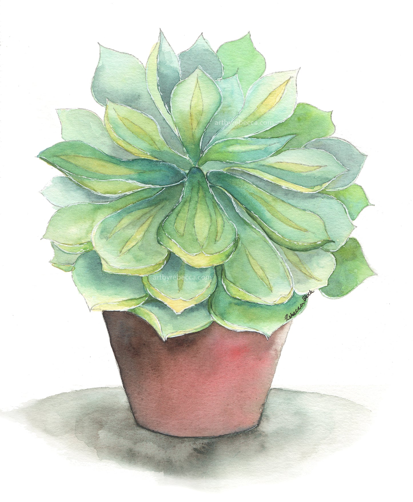 Project Choice: Potted Succulent