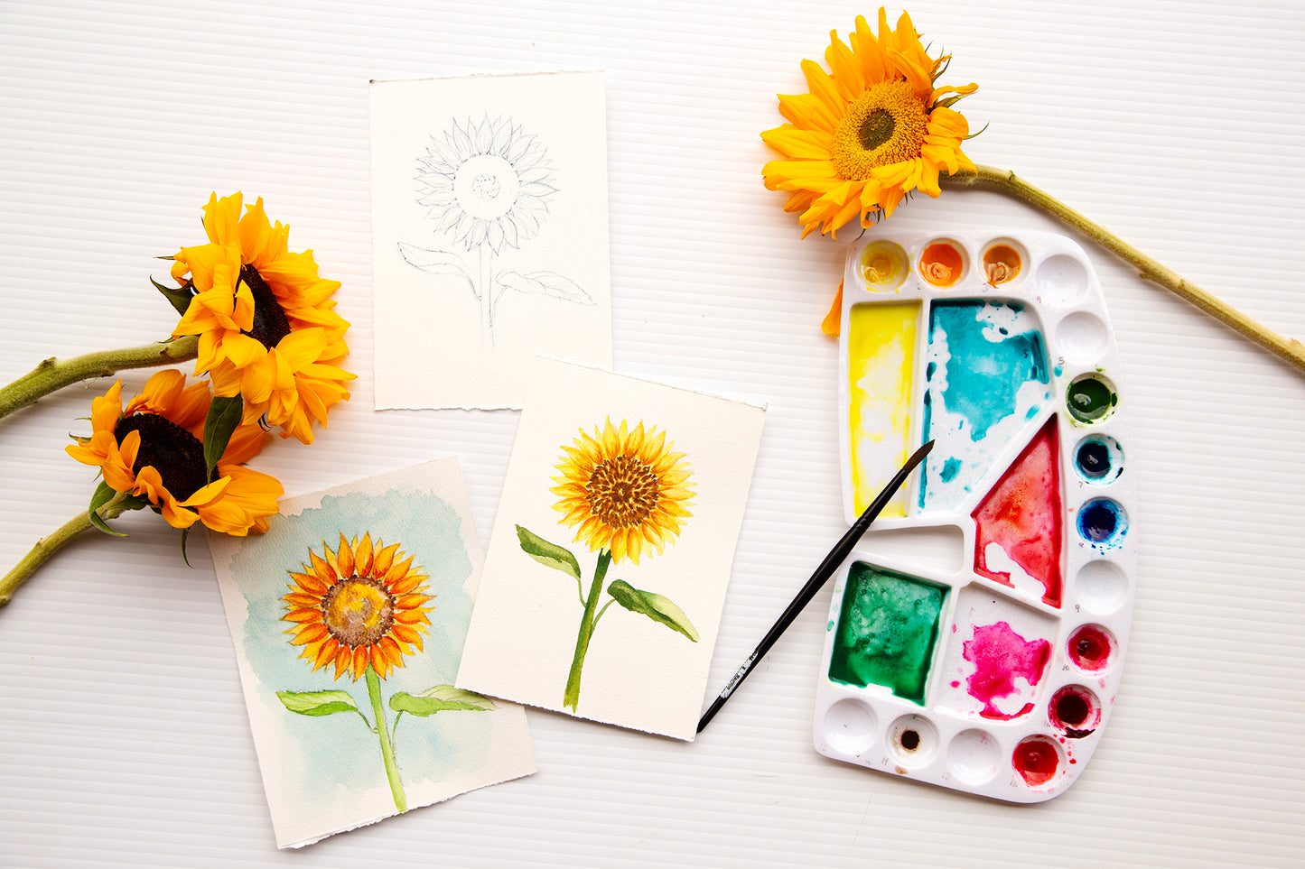Watercolor Class for Adults