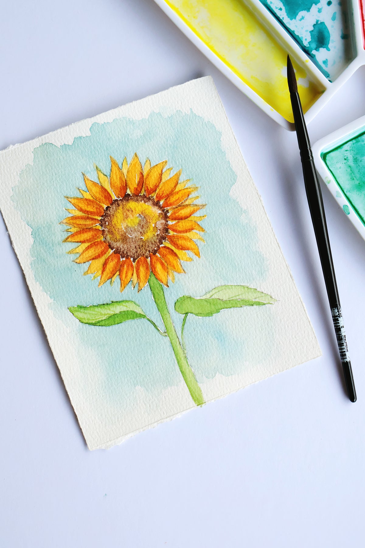 Project Choice: Sunflower