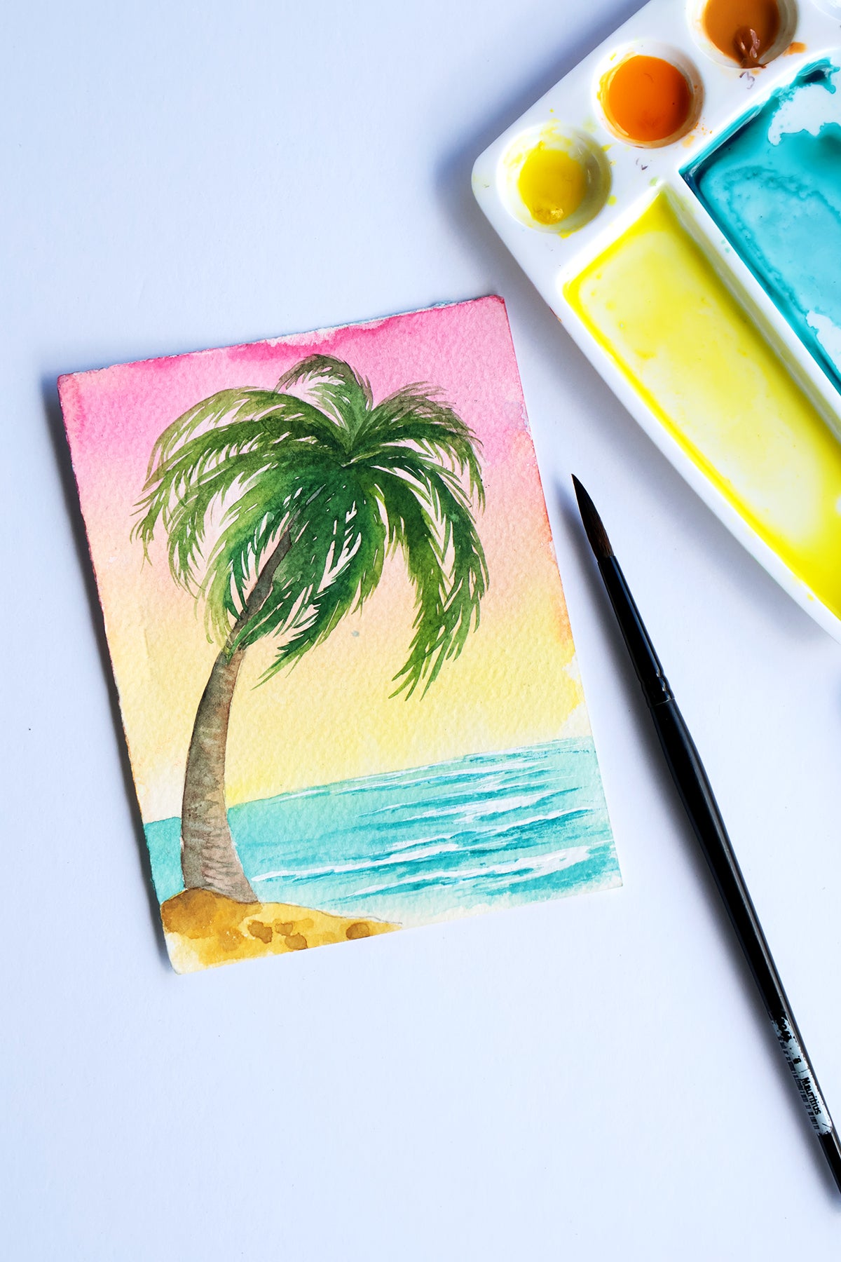 Project Choice: Sunset Palm Tree