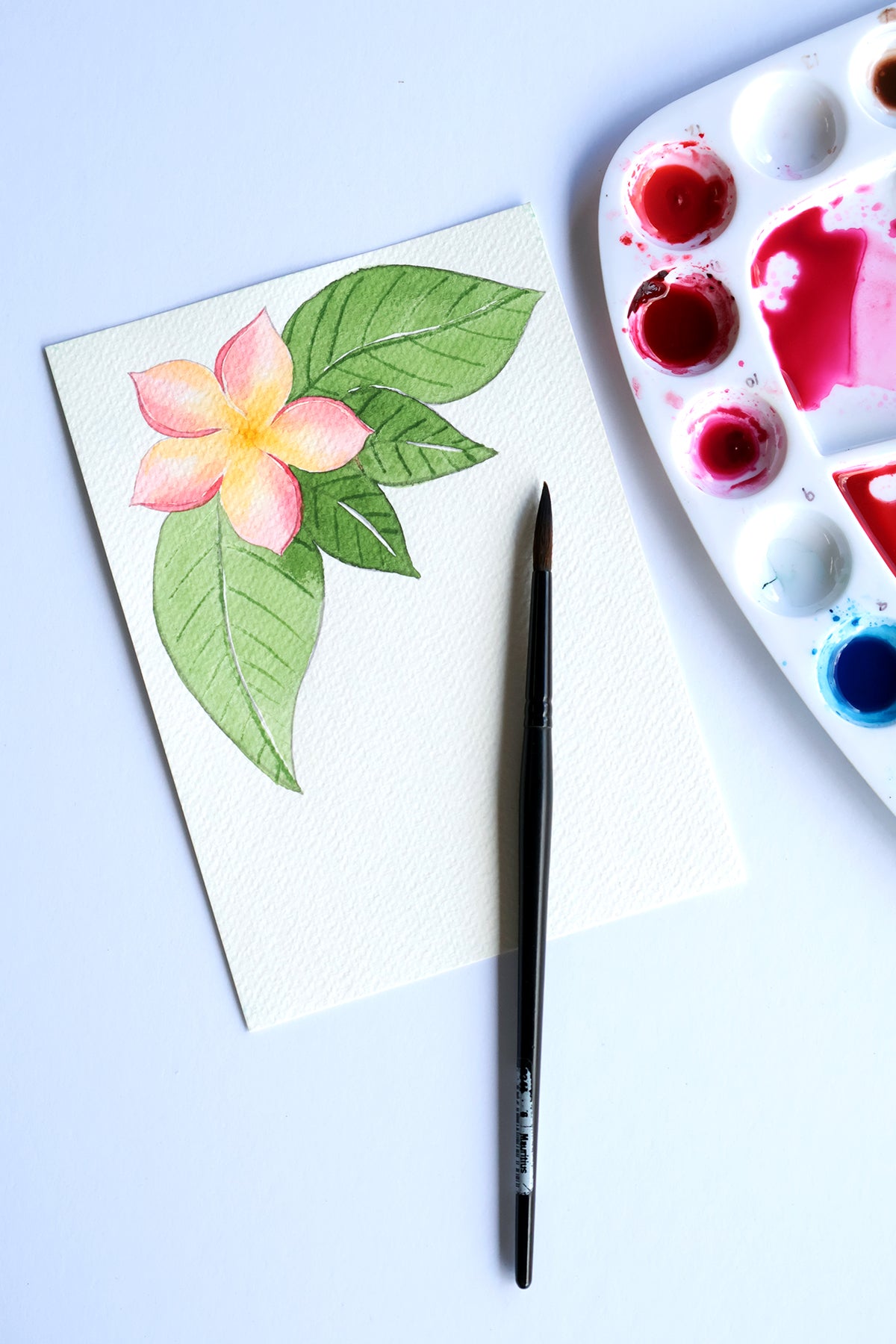 Project Choice: Plumeria