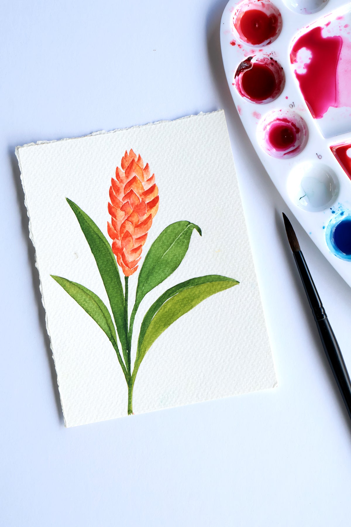 Project Choice: Ginger Flower