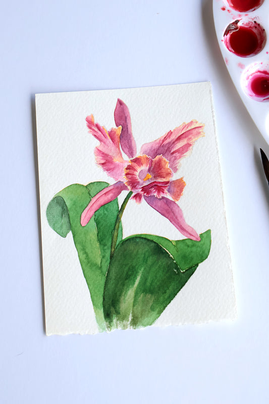 Project Choice: Orchid