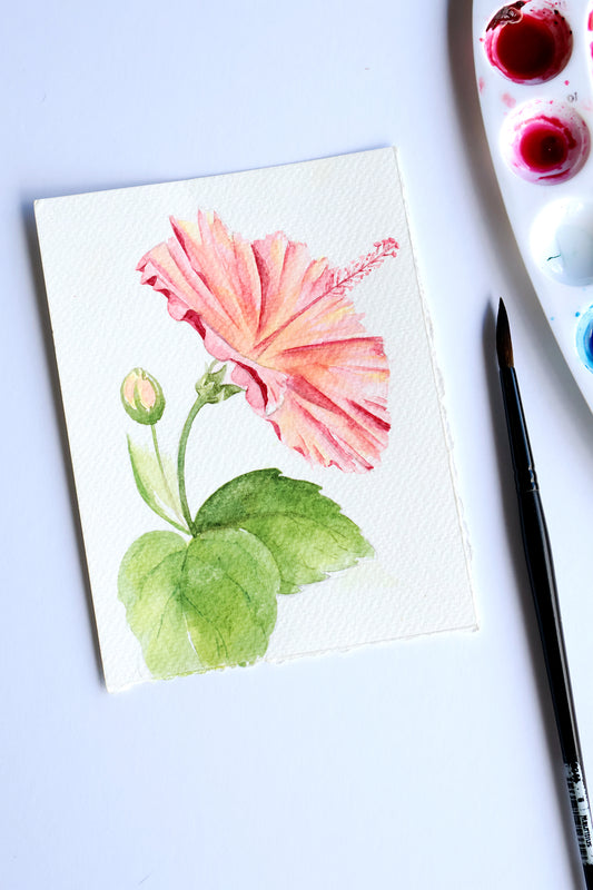 Project Choice: Hybrid Hibiscus