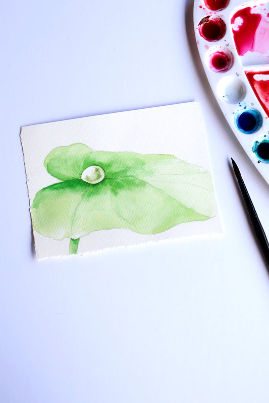 Project Choice: Raindrop on Taro Piko