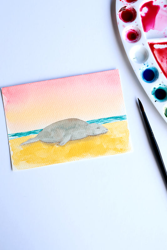 Project Choice: Monk Seal