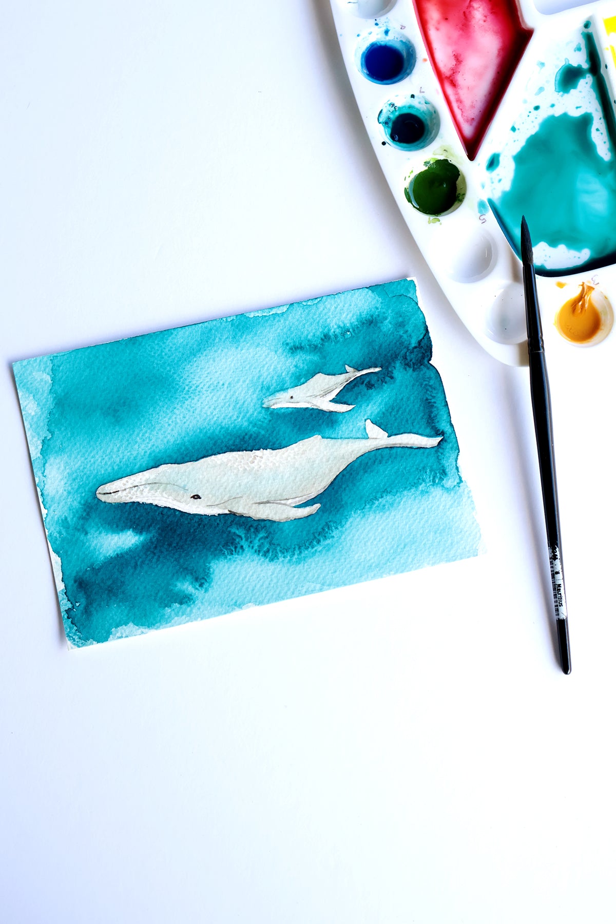 Project Choice: Humpback Whales