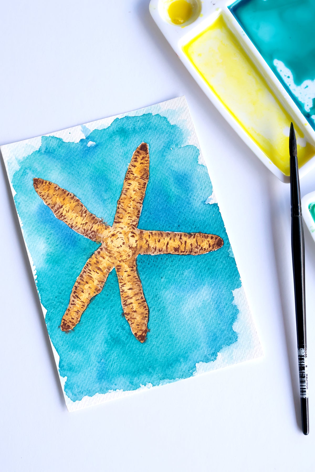 Project Choice: Starfish