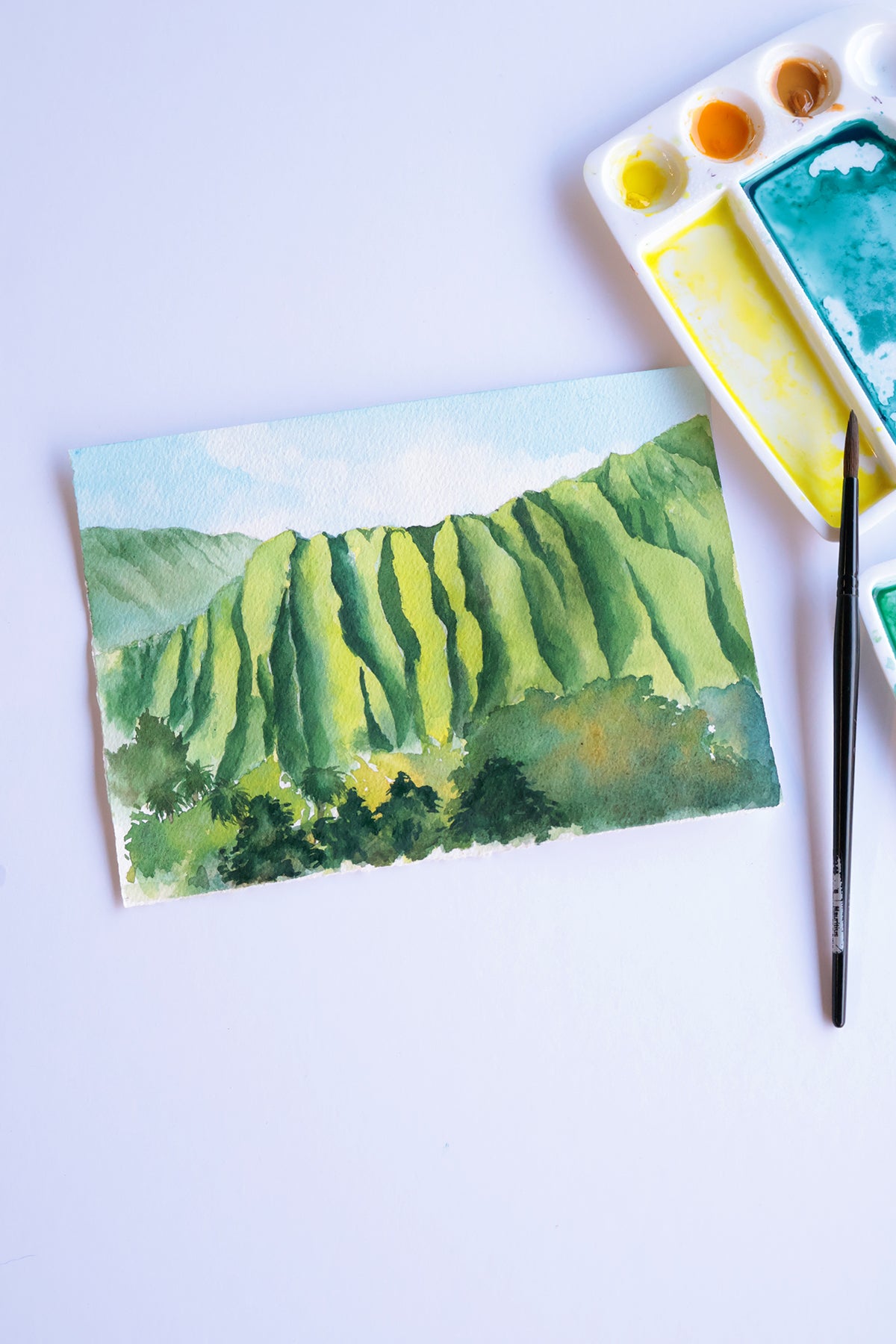 Project Choice: Ko'olau Mountains