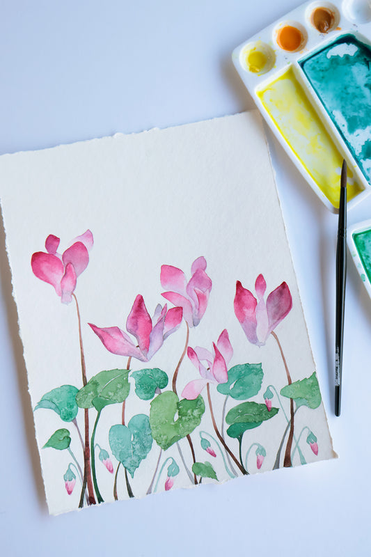 Project Choice: Cyclamen