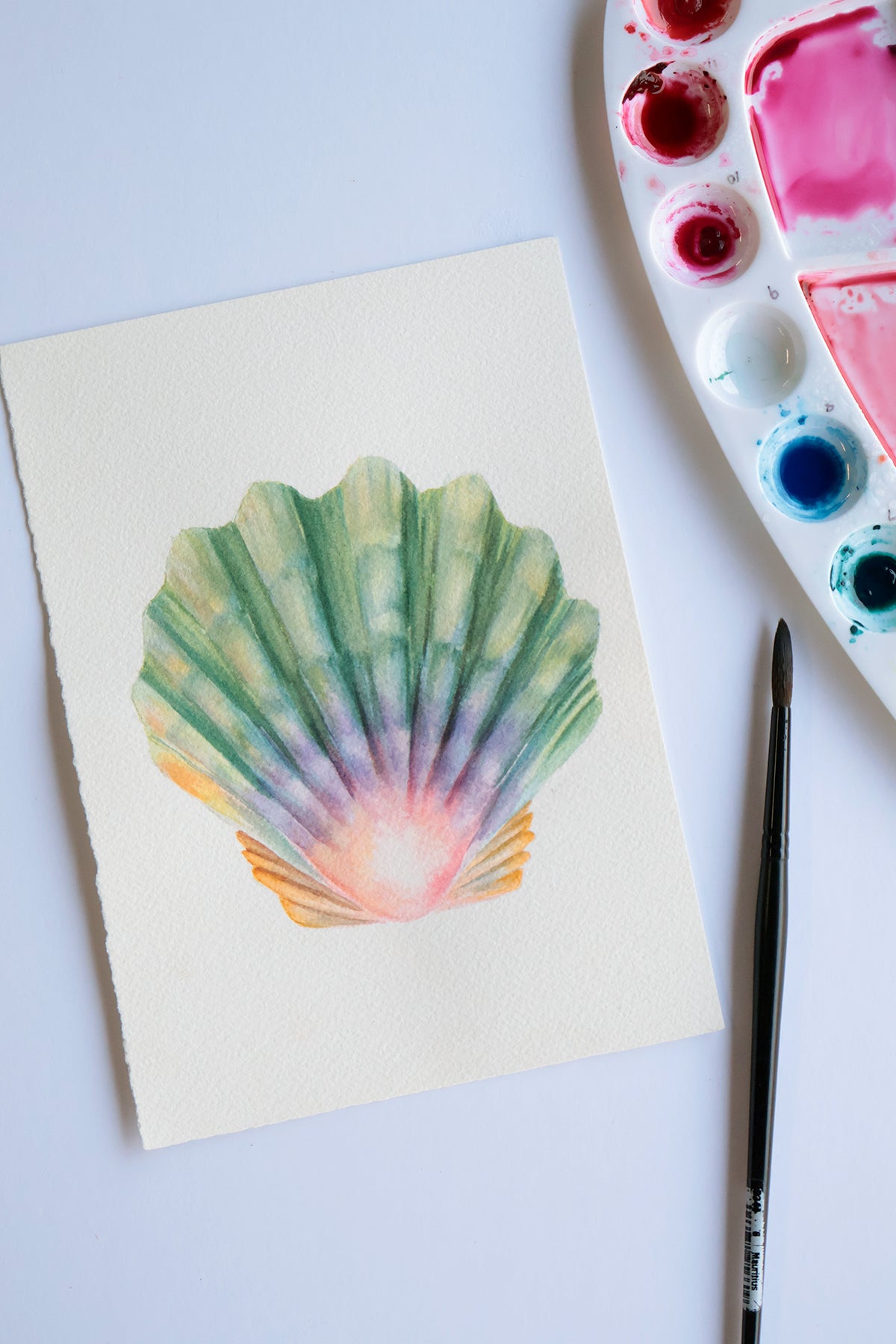 Project Choice: Moonrise or Sunrise Shell
