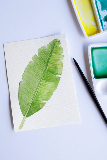 Project Choice: Ferns and Foliage
