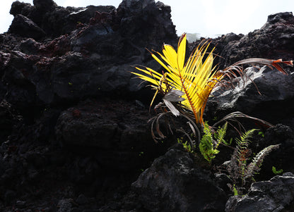 Photography Private Lessons