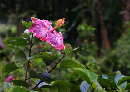 Photography Private Lessons