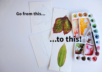 Watercolor Class for Adults