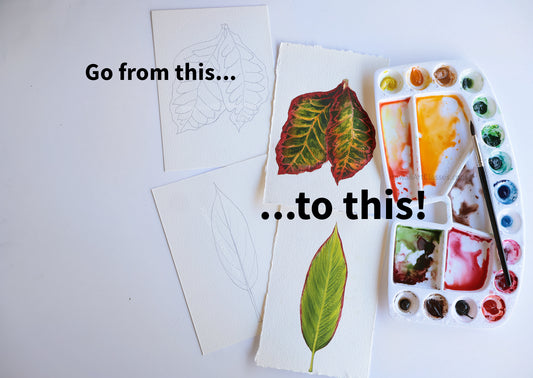 Watercolor Class for Adults