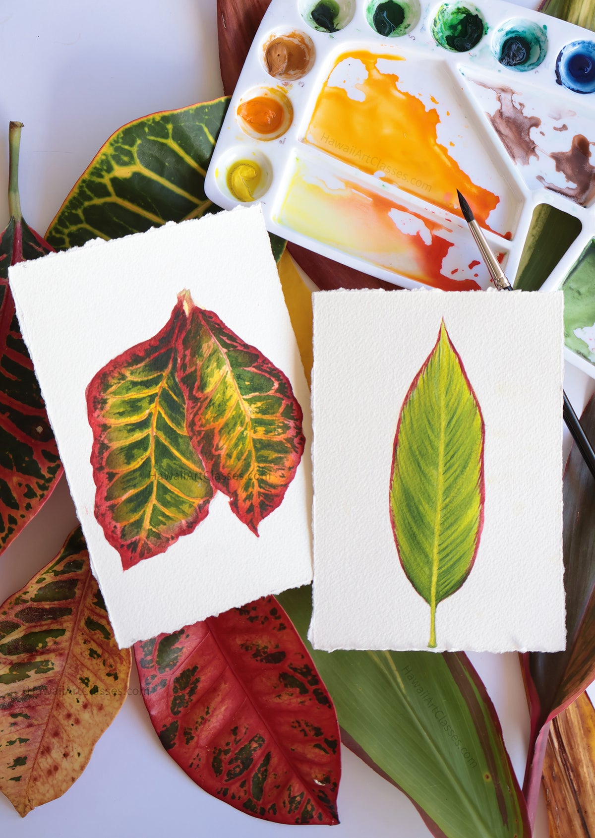 Watercolor Class for Adults
