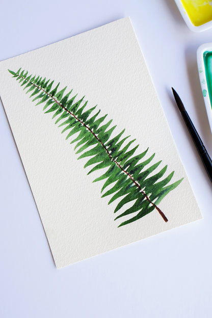 Project Choice: Ferns and Foliage