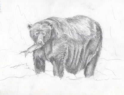 Drawing Private Lessons