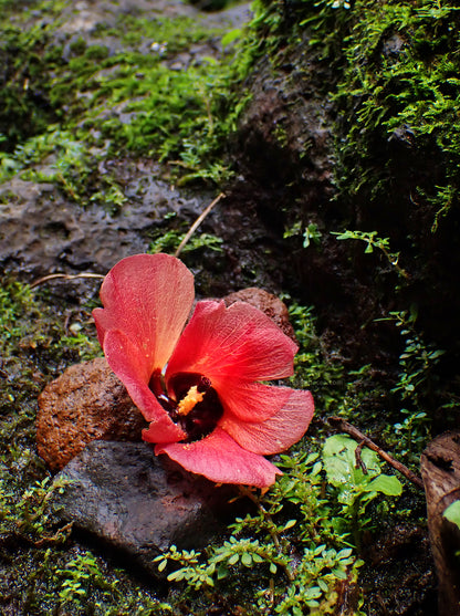 Photography Private Lessons