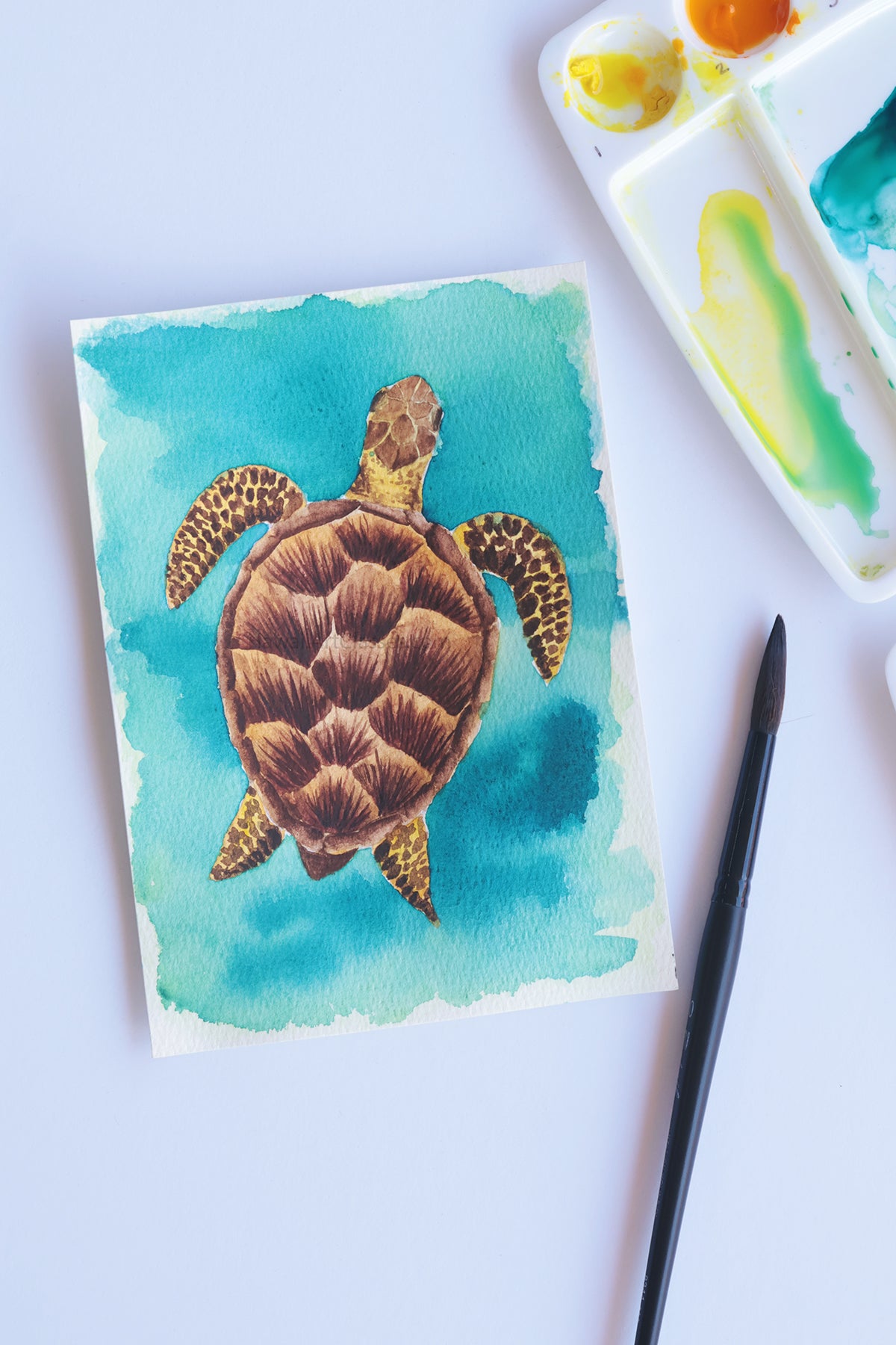 Project Choice: Honu (Sea Turtle)