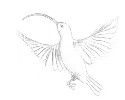 Drawing Private Lessons