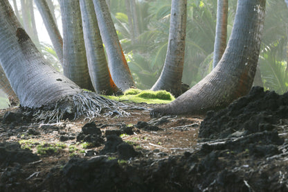 Photography Private Lessons