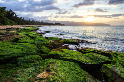 Photography Private Lessons