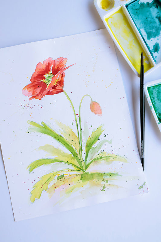 Project Choice: Poppy