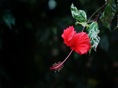 Photography Private Lessons