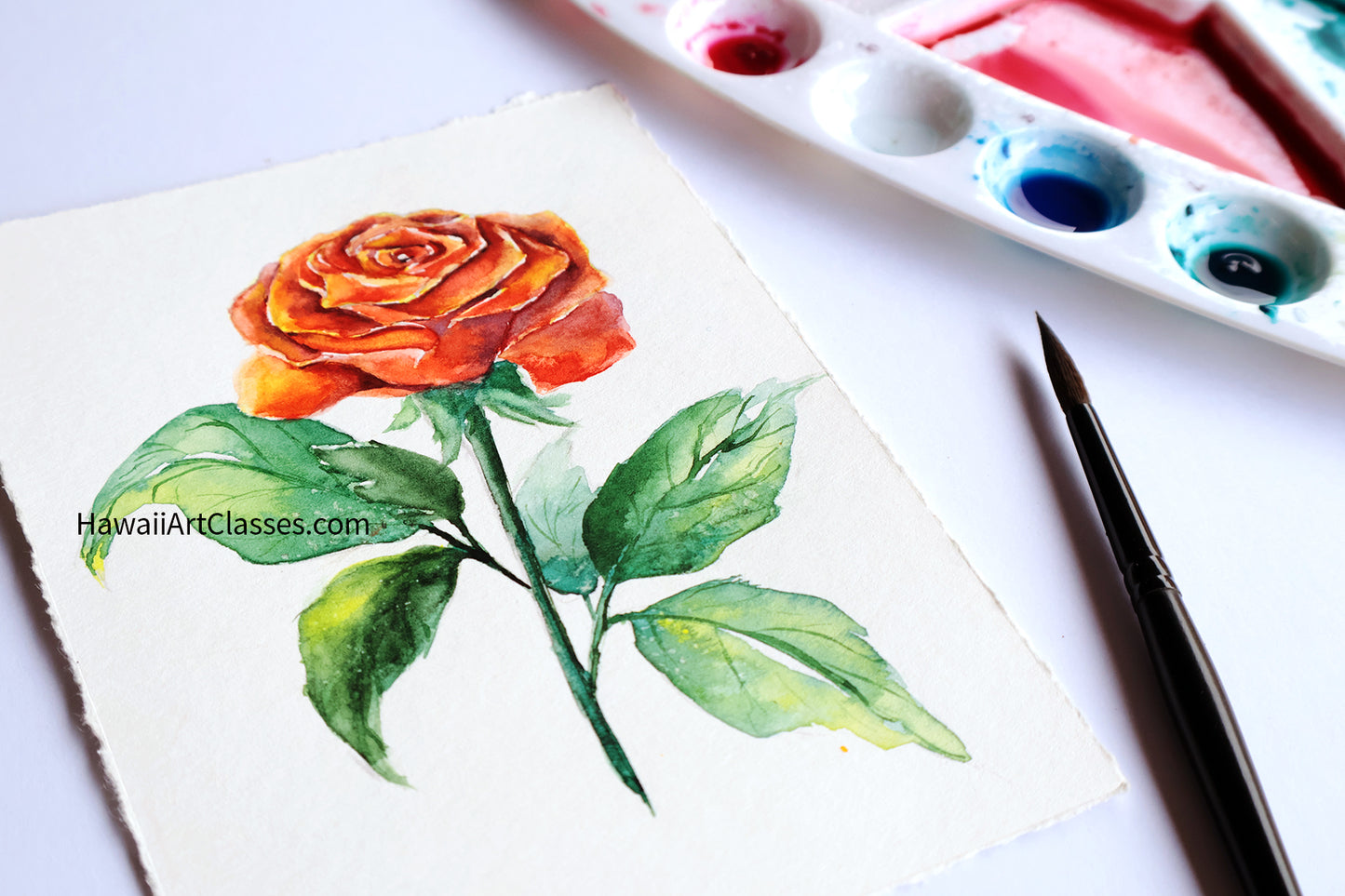 Watercolor Class for Adults