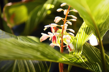 Photography Private Lessons