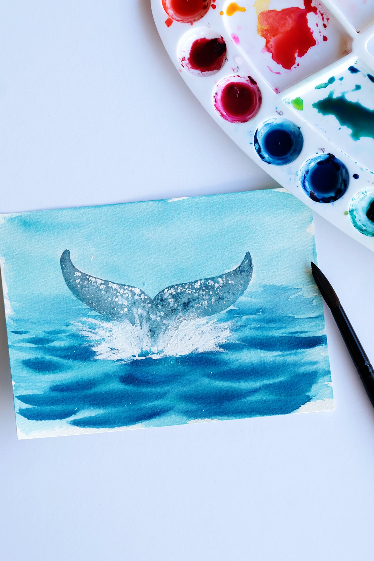 Project Choice: Whale Tale