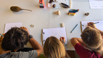 Drawing Private Lessons